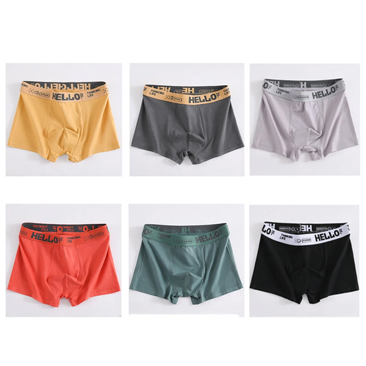 🔥【Kupite 3, dobijte 3 gratis】💥 [L-6XL] Boxer bărbătesc din bumbac