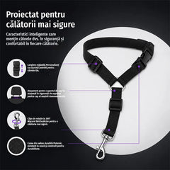 🐾【Cumpără 1 primești 1 gratuit】🐶 Lesă de siguranță pentru animale de companie – dimensiune reglabilă, pentru utilizare zilnică și ca centură de siguranță auto 🚗