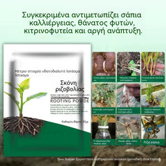 🌱🌷【Αγοράστε 5, Πάρτε 5 Δώρο】Σκόνη ταχείας ριζοβολίας φυτών / Ταχείας δράσης σύνθετο λίπασμα