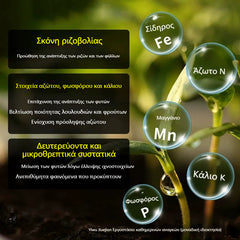 🌱🌷【Αγοράστε 5, Πάρτε 5 Δώρο】Σκόνη ταχείας ριζοβολίας φυτών / Ταχείας δράσης σύνθετο λίπασμα