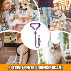 🐾【Cumpără 1 primești 1 gratuit】🐶 Lesă de siguranță pentru animale de companie – dimensiune reglabilă, pentru utilizare zilnică și ca centură de siguranță auto 🚗