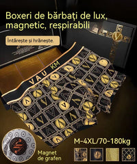 🔥Cumpără 2 și primești 2 gratuit🔥2026 Boxer pentru bărbați magnetici de lux