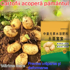 【8 pungi】Îngrășământ foliar solubil "Cartofelul Magic"｜Pentru cartofi, arahide, cartofi dulci, ridichi, taro și ceapă – stimulează rădăcinile, mărește producția