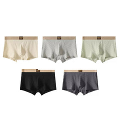【Colecția Premium 2026】Set de 5 Boxeri de Bărbați cu Textură Elegantă, Chiloți Tip Pantaloni Scurți cu Talie Medie, Elastici și Respirabili (Mărimi L-4XL / 5 Culori Mixte) ✨