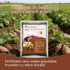 🥔🥜Îngrășământ foliar solubil – promovează creșterea rădăcinilor și crește randamentul
