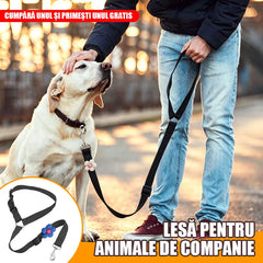 🐾【Cumpără 1 primești 1 gratuit】🐶 Lesă de siguranță pentru animale de companie – dimensiune reglabilă, pentru utilizare zilnică și ca centură de siguranță auto 🚗