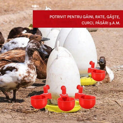 🐔Αυτόματη ποτίστρα πουλερικών