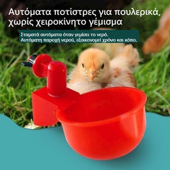 🐔【Σετ 10 τεμαχίων】Αυτόματα ποτίστρες για πουλερικά, χωρίς χειροκίνητο γέμισμα