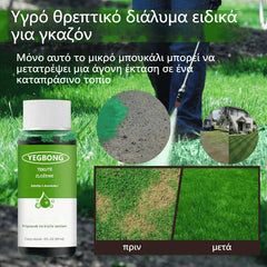 💥【Cumpără 1, Primești 1 Gratuit】🌱 Soluție nutritivă lichidă specială pentru gazon