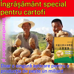 【8 pungi】Îngrășământ foliar solubil "Cartofelul Magic"｜Pentru cartofi, arahide, cartofi dulci, ridichi, taro și ceapă – stimulează rădăcinile, mărește producția